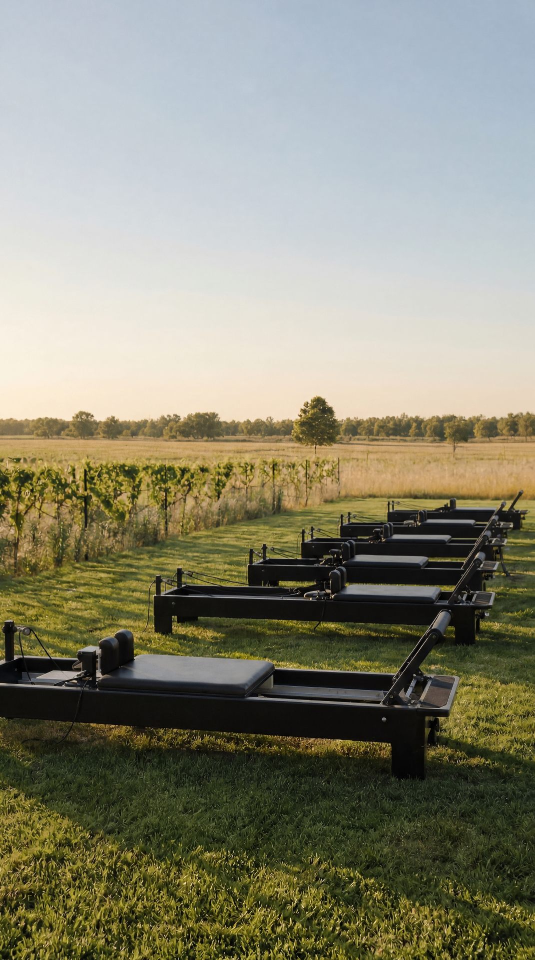 Reformers in het open veld bij zonsondergang